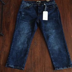 Blue savvy denim plus size 22 new